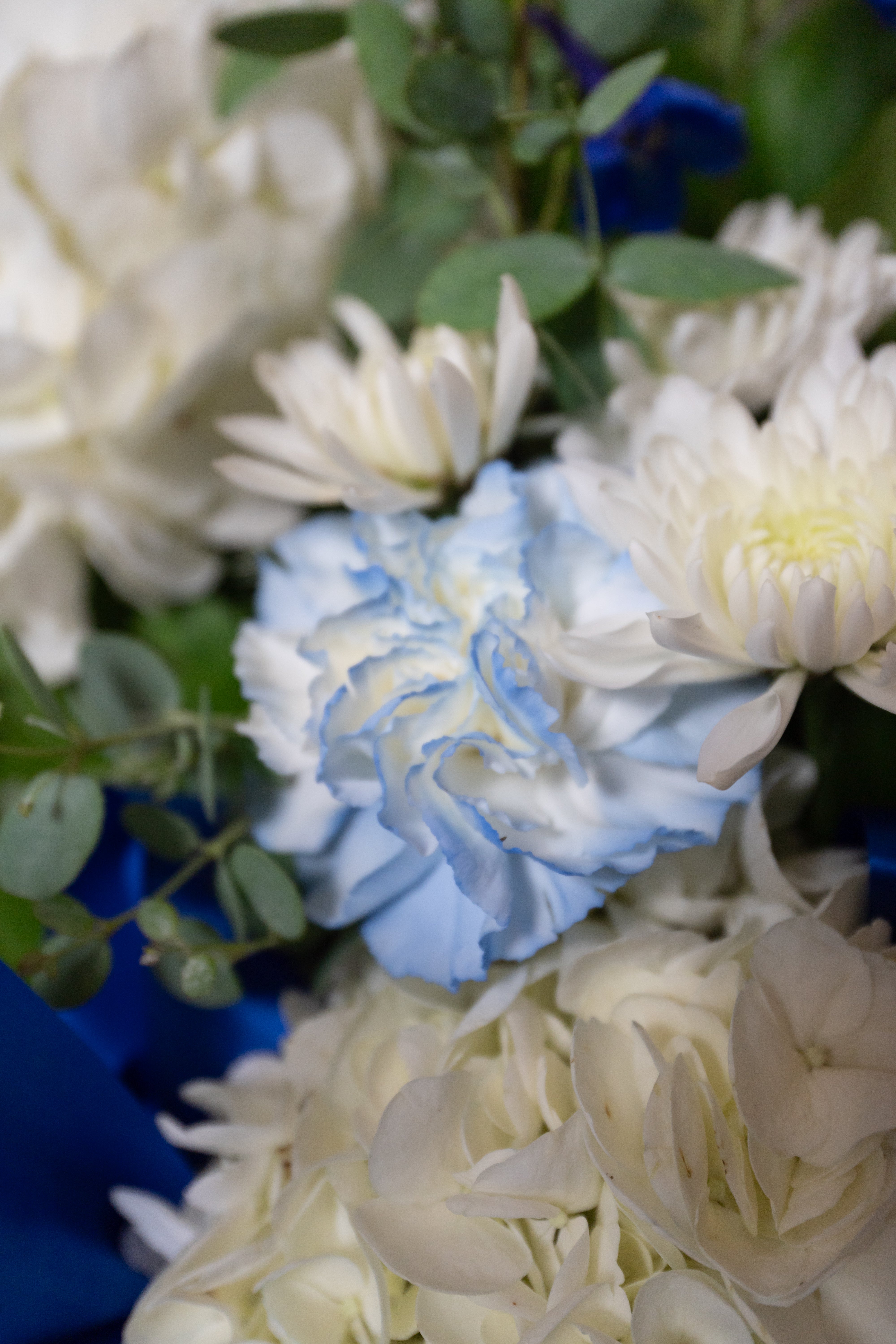 Blue Tribute Spray