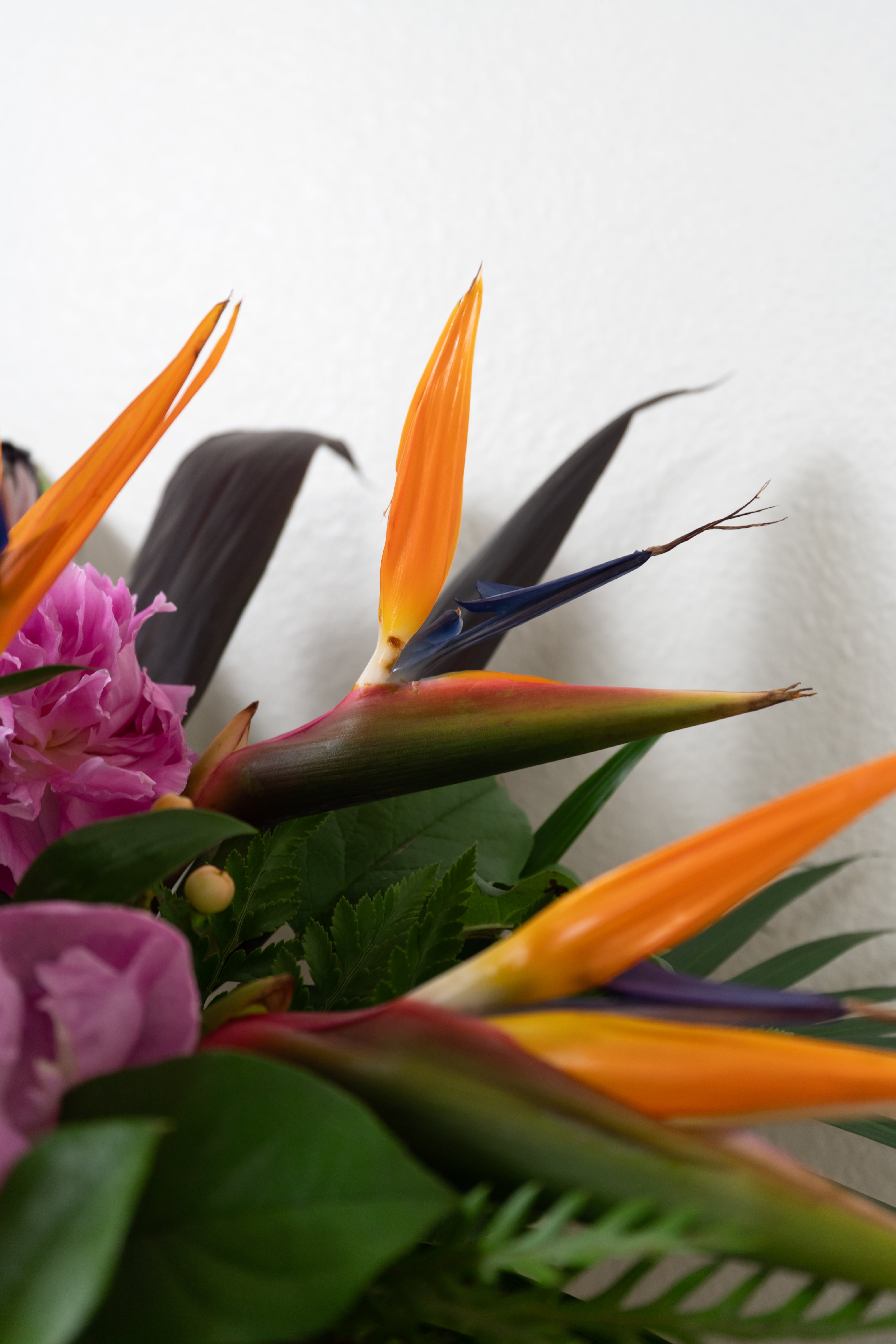 Tropical Casket Spray