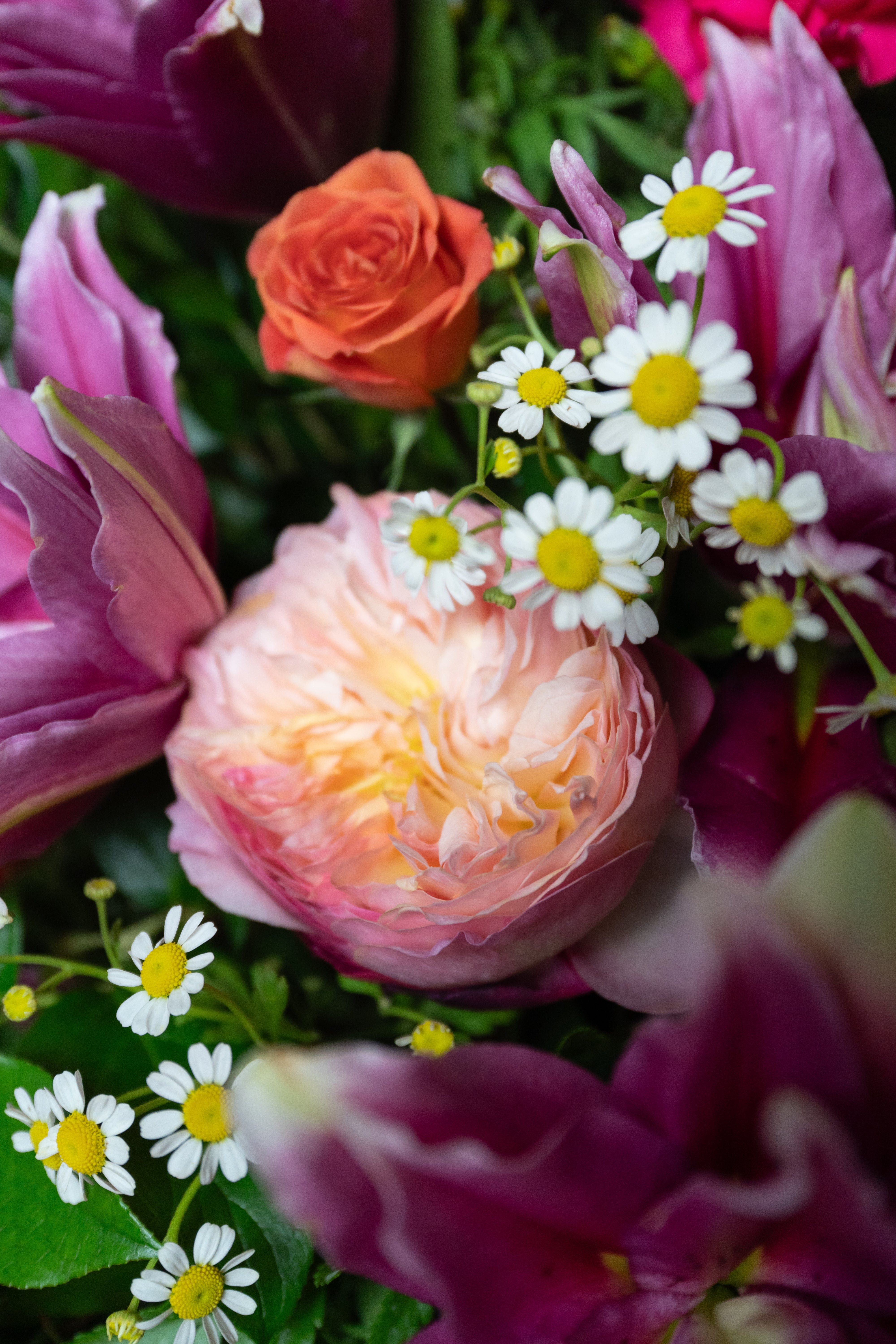 Joyful Memories Spray