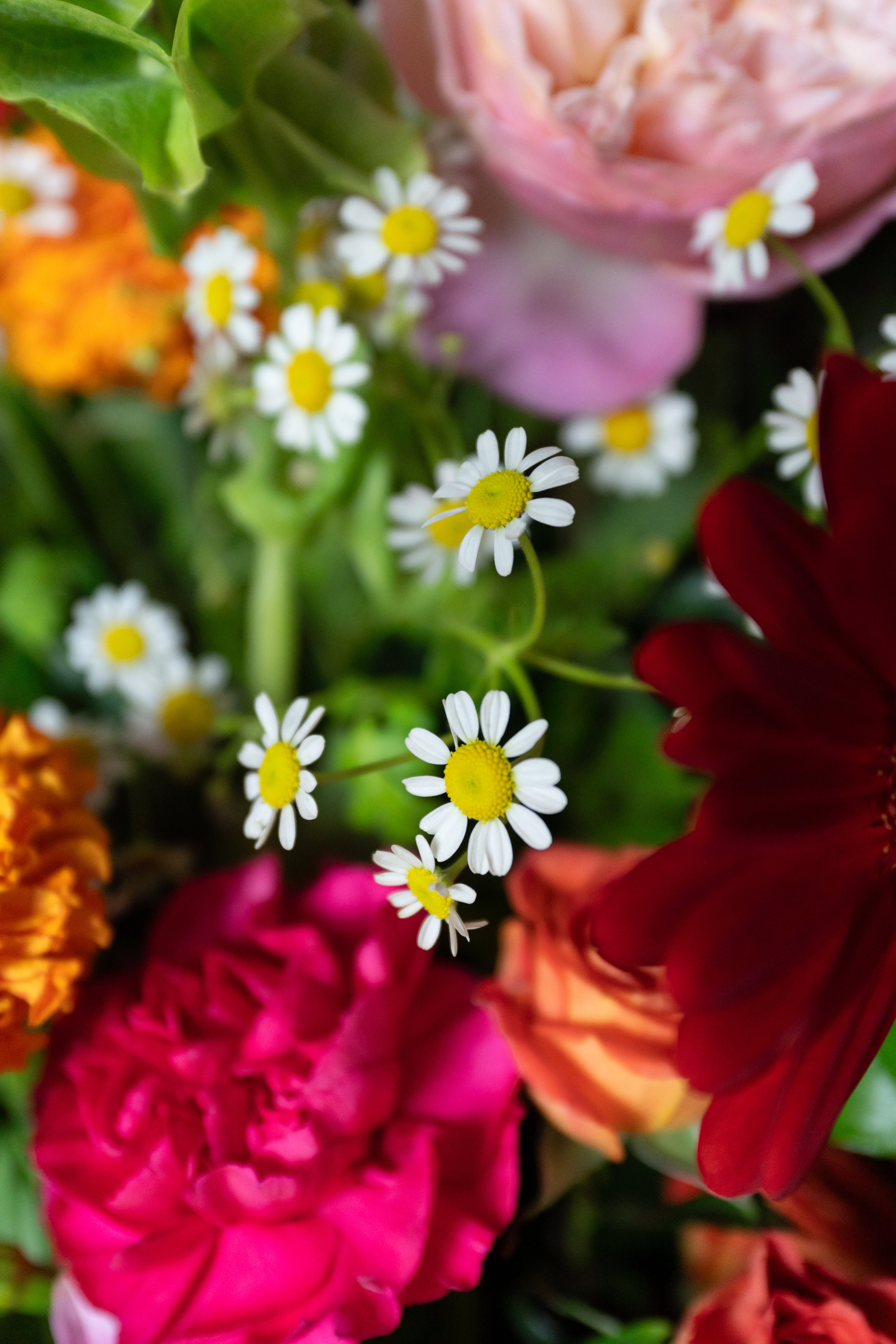 Joyful Memories Spray