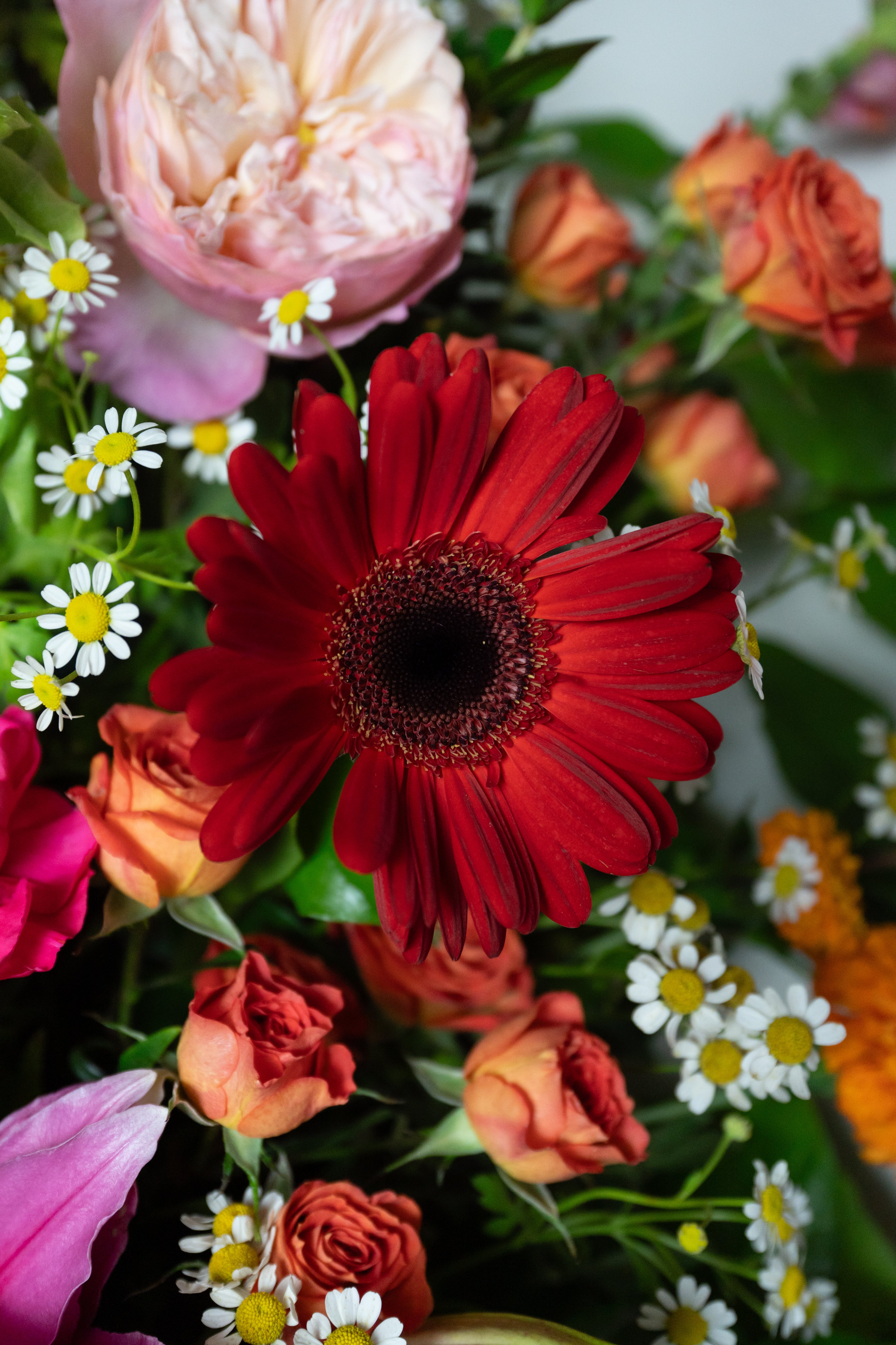 Joyful Memories Spray