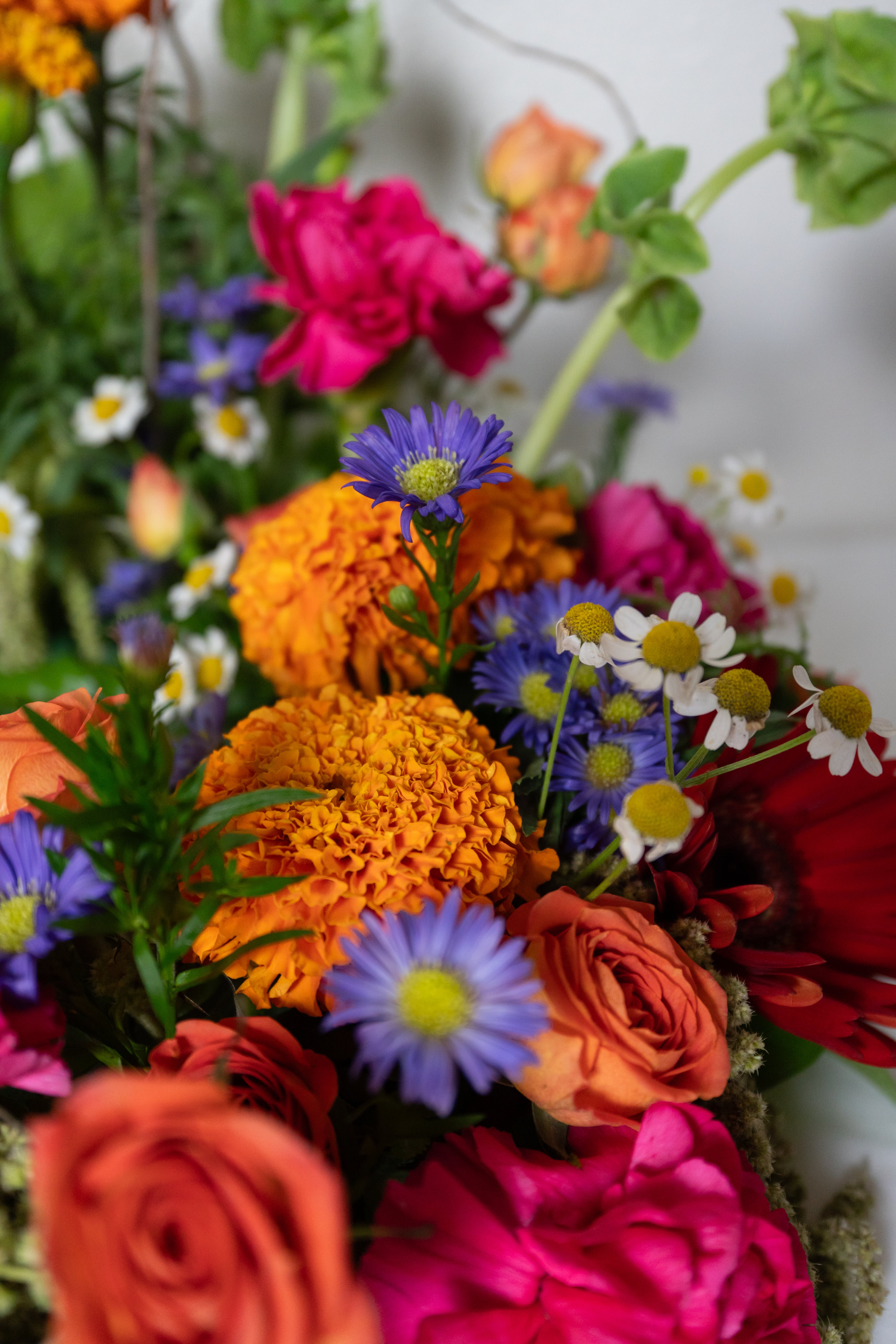 Mixed Urn Arrangement