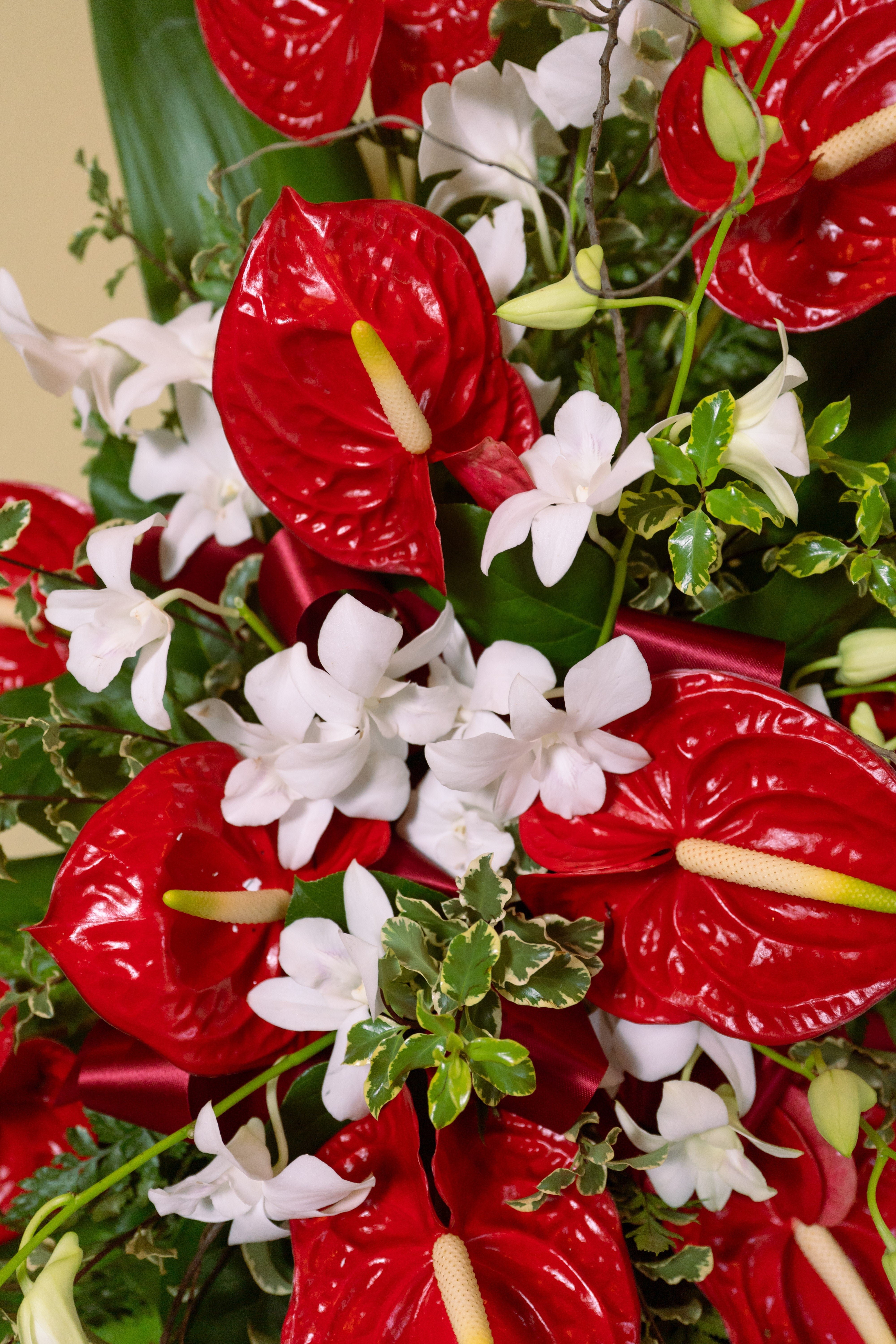 Red Tropical Heart